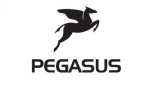 Pegasus bei 