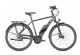 e-Trekkingbike-Angebot MORRISON E 6.0