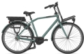 e-Citybike-Angebot Gazelle HEAVYDUTY NL C5 HMB 49CM