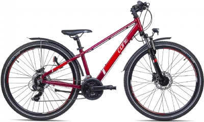 CONE Bikes 260 ND 21 Disc Allroad (Rot)